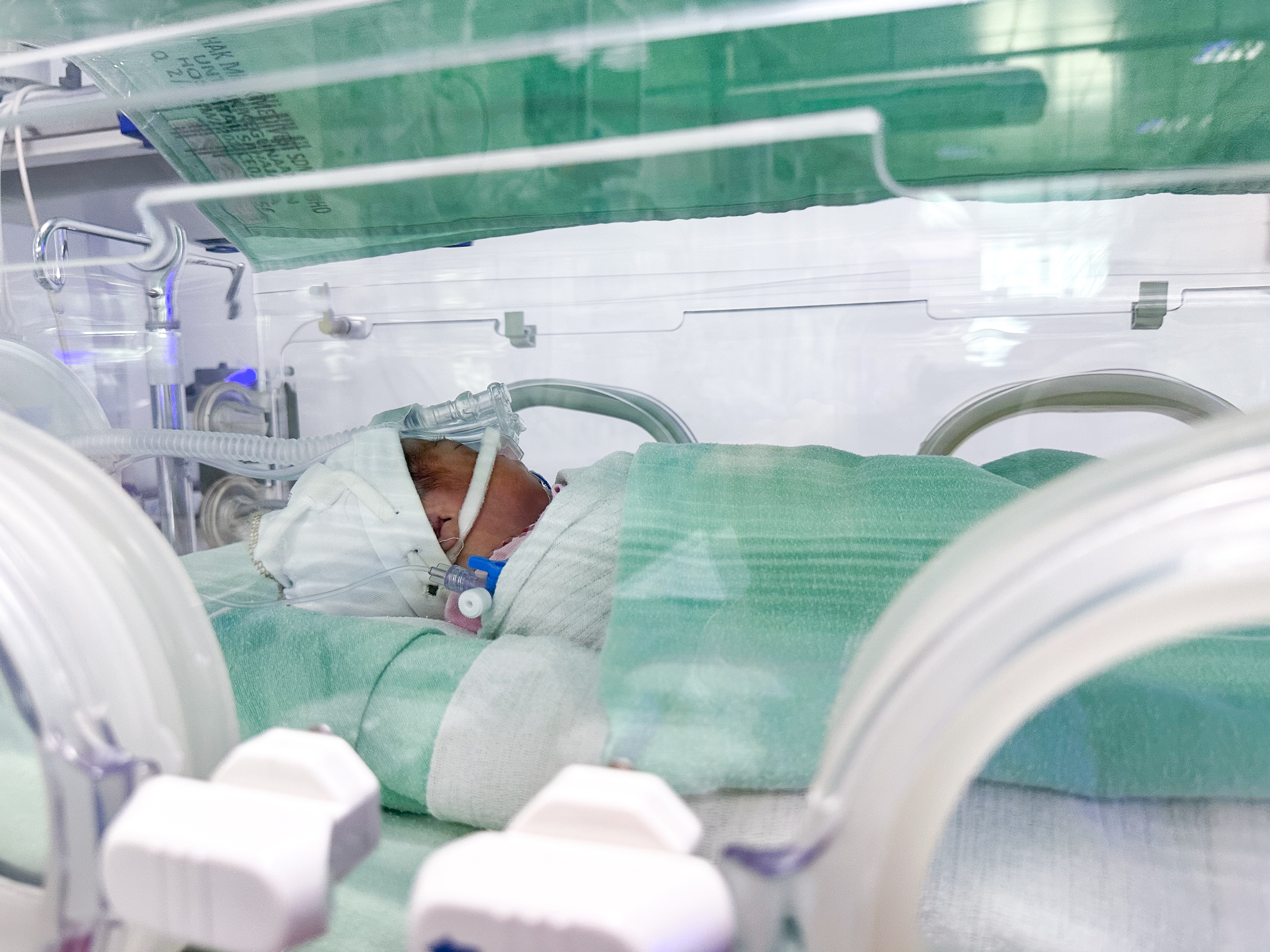 2026_ChooLeeLee (3).jpg